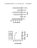 TCL1 PEPTIDES FOR IMMUNOTHERAPY diagram and image