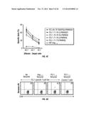 TCL1 PEPTIDES FOR IMMUNOTHERAPY diagram and image