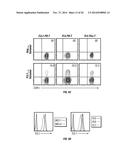 TCL1 PEPTIDES FOR IMMUNOTHERAPY diagram and image