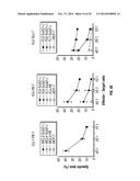 TCL1 PEPTIDES FOR IMMUNOTHERAPY diagram and image