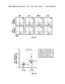 TCL1 PEPTIDES FOR IMMUNOTHERAPY diagram and image