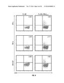 TCL1 PEPTIDES FOR IMMUNOTHERAPY diagram and image