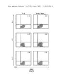 TCL1 PEPTIDES FOR IMMUNOTHERAPY diagram and image