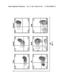 TCL1 PEPTIDES FOR IMMUNOTHERAPY diagram and image