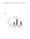 PARTICLES COMPRISING SINGLE STRANDED RNA AND DOUBLE STRANDED RNA FOR     IMMUNOMODULATION diagram and image