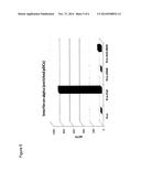 PARTICLES COMPRISING SINGLE STRANDED RNA AND DOUBLE STRANDED RNA FOR     IMMUNOMODULATION diagram and image