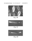 LAMINATES INCLUDING A RETICULATED THERMOPLASTIC FILM AND METHOD OF MAKING     THE SAME diagram and image