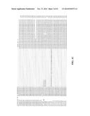 METHODS AND COMPOSITIONS FOR DETECTING BK VIRUS diagram and image