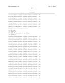 METHODS AND COMPOSITIONS FOR DETECTING BK VIRUS diagram and image