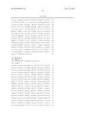 METHODS AND COMPOSITIONS FOR DETECTING BK VIRUS diagram and image