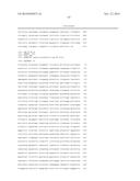 METHODS AND COMPOSITIONS FOR DETECTING BK VIRUS diagram and image