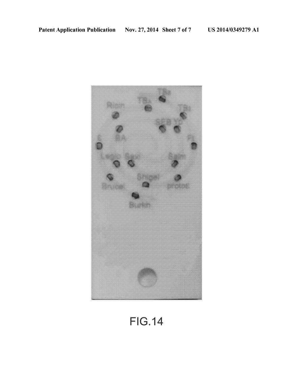 3D MICROFLUIDIC SYSTEM HAVING NESTED AREAS AND A BUILT-IN RESERVOIR,     METHOD FOR THE PREPARING SAME, AND USES THEREOF - diagram, schematic, and image 08