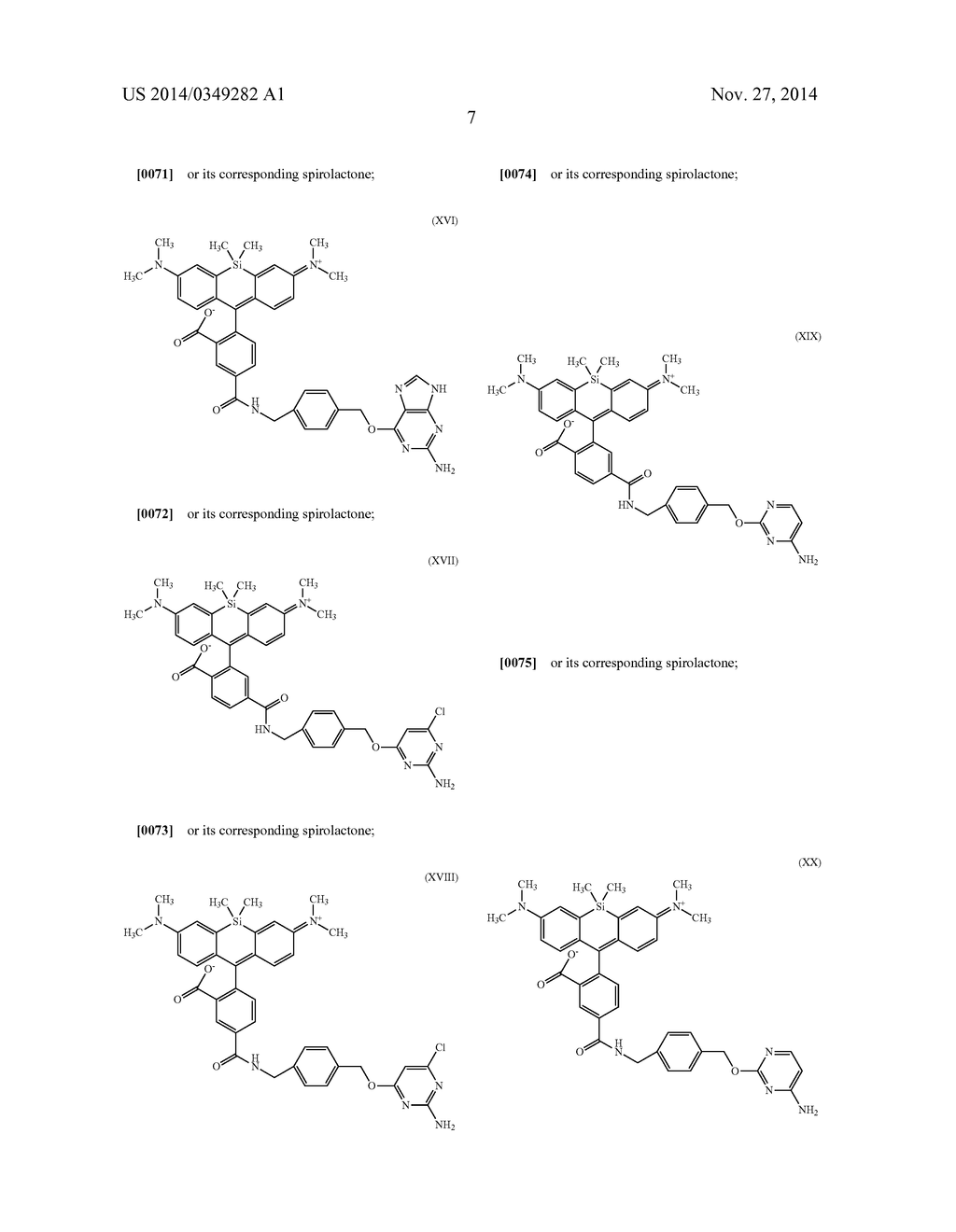 Cell Permeable, Fluorescent Dye - diagram, schematic, and image 10