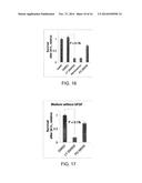 METHODS OF ENHANCING GENETIC DIAGNOSIS diagram and image