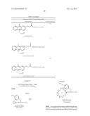 FLUORESCENT DYES BASED ON ACRIDINE AND ACRIDINIUM DERIVATIVES diagram and image