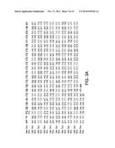 COMPOSITIONS AND METHODS FOR PURIFYING BAX diagram and image