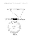 COMPOSITIONS AND METHODS FOR PURIFYING BAX diagram and image