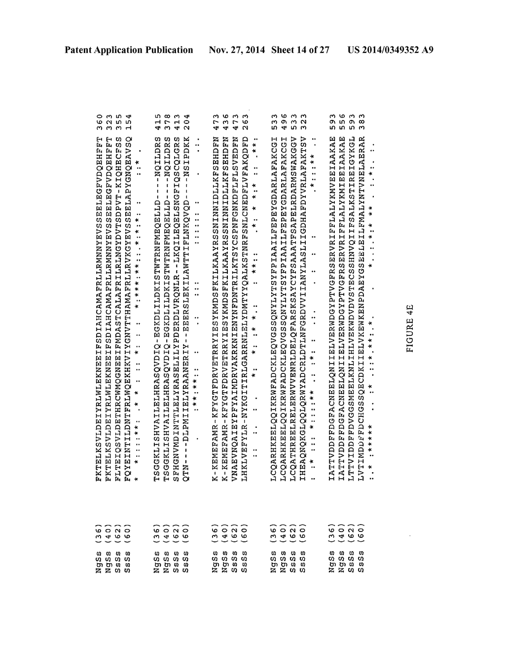 Sclareol and labdenediol diphosphate synthase polypeptides, encoding     nucleic acid molecules and uses thereof - diagram, schematic, and image 15