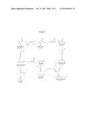 Process for Converting Biomass to Aromatic Hydrocarbons diagram and image