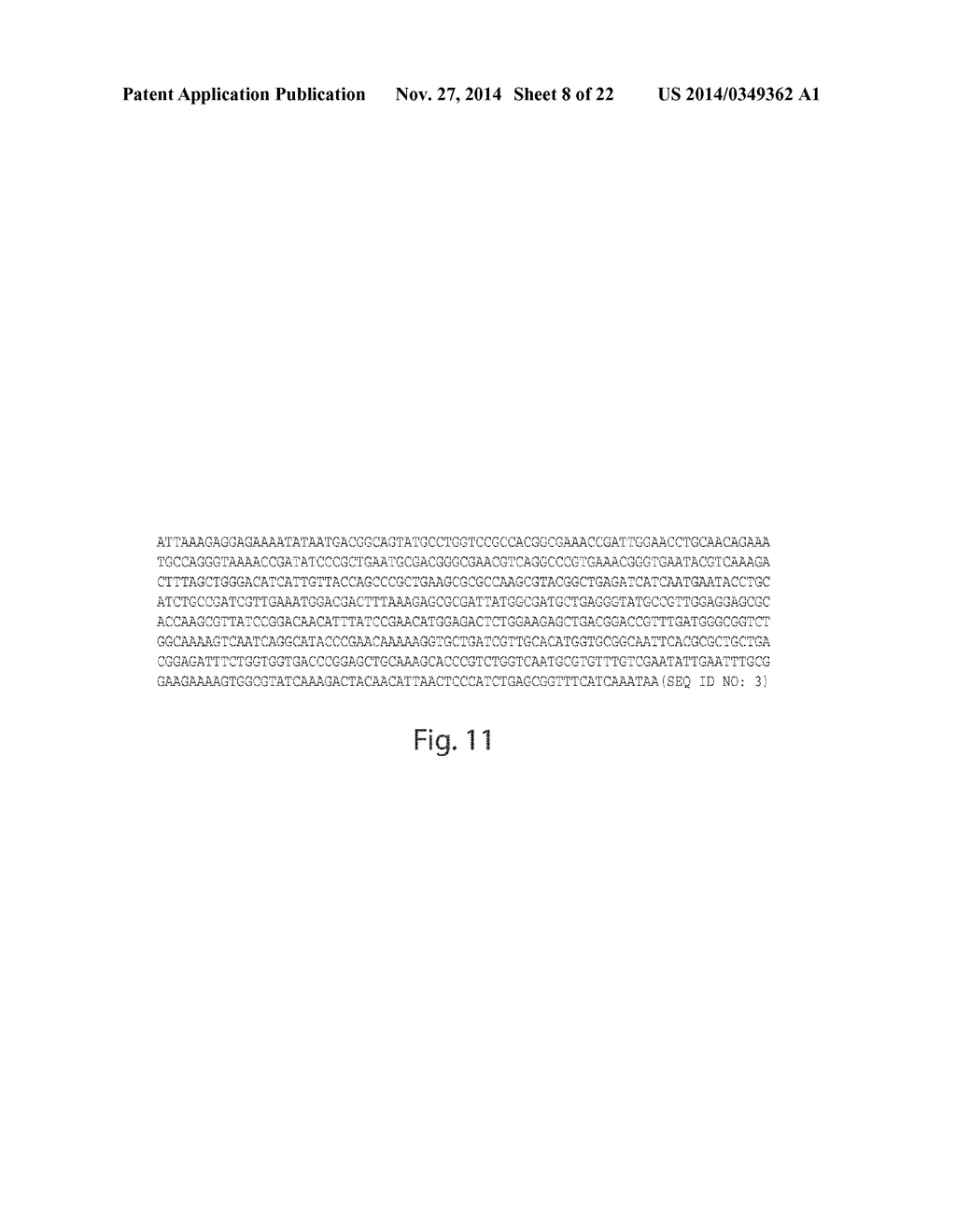 MICROORGANISMS AND PROCESSES FOR THE PRODUCTION OF ISOPRENE - diagram, schematic, and image 09