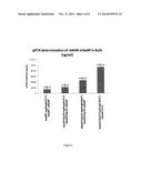 BACULOVIRUS SYSTEM FOR THE EXPRESSION OF A GENE THERAPY VECTOR diagram and image