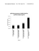 BACULOVIRUS SYSTEM FOR THE EXPRESSION OF A GENE THERAPY VECTOR diagram and image