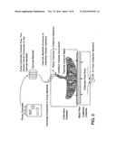 METHOD OF COLLECTING PLACENTAL STEM CELLS diagram and image