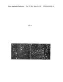 Compositions and Methods Relating to Clonal Progenitor Cells diagram and image