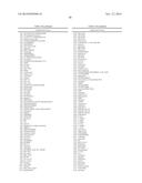 Compositions and Methods Relating to Clonal Progenitor Cells diagram and image