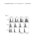 ENDOTHELIAL CELL PRODUCTION BY PROGRAMMING diagram and image