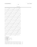 ENDOTHELIAL CELL PRODUCTION BY PROGRAMMING diagram and image