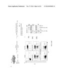 CAR+ T CELLS GENETICALLY MODIFIED TO ELIMINATE EXPRESSION OF T-CELL     RECEPTOR AND/OR HLA diagram and image