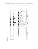 RNA-DIRECTED DNA CLEAVAGE AND GENE EDITING BY CAS9 ENZYME FROM NEISSERIA     MENINGITIDIS diagram and image