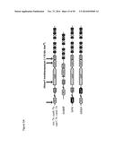 RNA-DIRECTED DNA CLEAVAGE AND GENE EDITING BY CAS9 ENZYME FROM NEISSERIA     MENINGITIDIS diagram and image