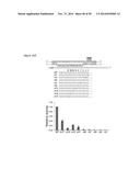 RNA-DIRECTED DNA CLEAVAGE AND GENE EDITING BY CAS9 ENZYME FROM NEISSERIA     MENINGITIDIS diagram and image