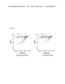 RNA-DIRECTED DNA CLEAVAGE AND GENE EDITING BY CAS9 ENZYME FROM NEISSERIA     MENINGITIDIS diagram and image