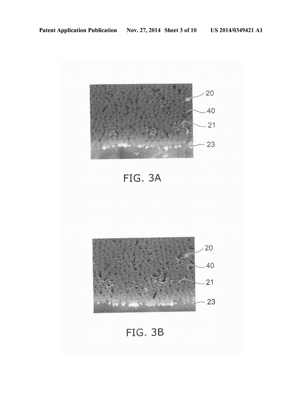 SEMICONDUCTOR LIGHT EMITTING DEVICE AND METHOD FOR MANUFACTURING THE SAME - diagram, schematic, and image 04