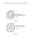 Coated Dehydrated Microorganisms with Enhanced Stability and Viability diagram and image