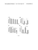 CHAPERONE-BASED INTEGRIN INHIBITORS FOR THE TREATMENT OF CANCER AND     INFLAMMATORY DISEASES diagram and image