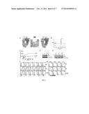 CHAPERONE-BASED INTEGRIN INHIBITORS FOR THE TREATMENT OF CANCER AND     INFLAMMATORY DISEASES diagram and image