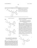 PYRROLO CARBOXAMIDES AS MODULATORS OF ORPHAN NUCLEAR RECEPTOR RAR-RELATED     ORPHAN RECEPTOR-GAMMA (RORy, NR1F3) ACTIVITY AND FOR THE TREATMENT OF     CHRONIC INFLAMMATORY AND AUTOIMMUNE DISEASES diagram and image