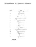 METHODS OF USE FOR COMPOSITIONS COMPRISING A BIOCIDAL POLYAMINE diagram and image