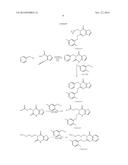 ANT-LIGANDS MOLECULES AND BIOLOGICAL APPLICATIONS diagram and image