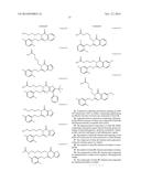 ANT-LIGANDS MOLECULES AND BIOLOGICAL APPLICATIONS diagram and image