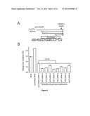 INHIBITION OF VIRAL GENE EXPRESSION diagram and image