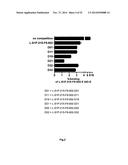 Nucleic acid molecule having binding affinity to a target molecule and a     method for generating the same diagram and image