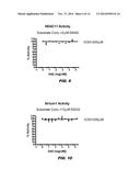 USES OF HISTONE ACETYLTRANSFERASE ACTIVATORS diagram and image