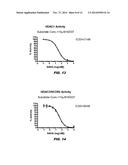 USES OF HISTONE ACETYLTRANSFERASE ACTIVATORS diagram and image