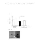 OPHTHALMIC COMPOSITION COMPRISING GERANYLGERANYLACETONE diagram and image