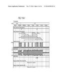 MDM2-Containing Double Minute Chromosomes And Methods Therefore diagram and image